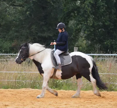 Centre Equestre - les Ecuries de Mandy (44540)