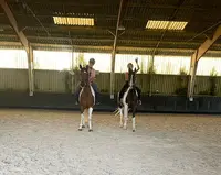 Cercle Hippique du Pin