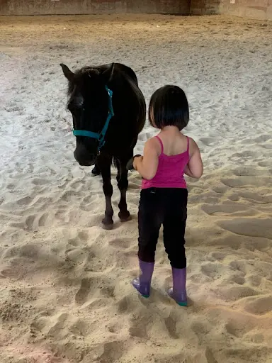 Reverence Equithérapie