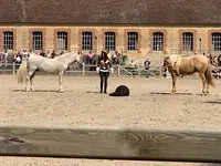 Haras National du Pin