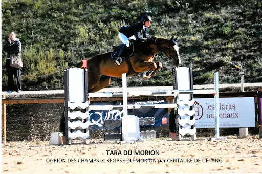 Ecurie Nathalie Barbier - Haras de Rabat