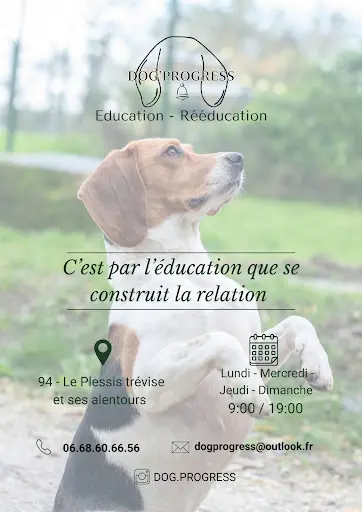 Dog Progress - Éducateur Canin 77/94