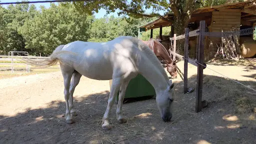 Ferme Equestre de la Loze