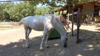 Ferme Equestre de la Loze