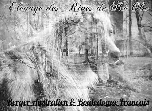 Élevage des Rives de Ké Ola