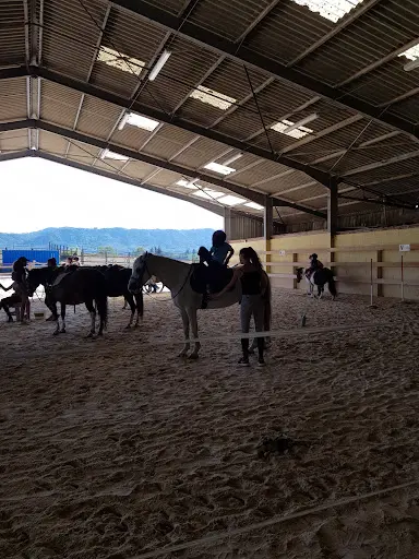 Poney Club la Rebatiere