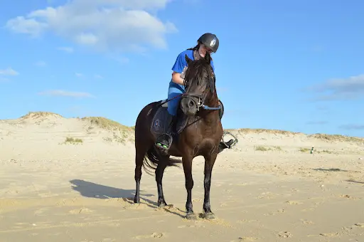Poney Plage