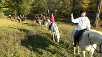 Poney Club du Sudre, Haras du Sudre