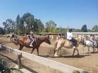 Les Ecuries de la Cibonne