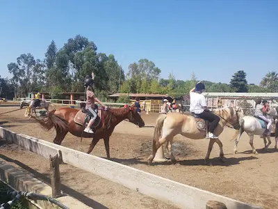 Les Ecuries de la Cibonne