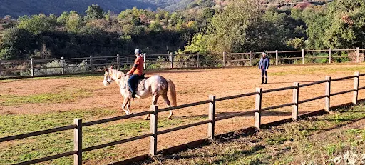 Yo Ranch - Pension Chevaux