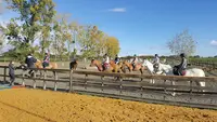 Breizh Horse Center