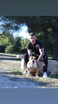 A.l.p.h.a Dog Éducation Canine