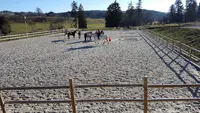 Les Haras du Petit Bois