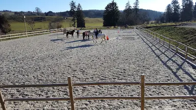 Les Haras du Petit Bois