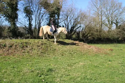 Pension Chevaux l'Écrin de Pradou Glas le Saint