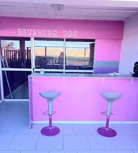 Brushing Dog
