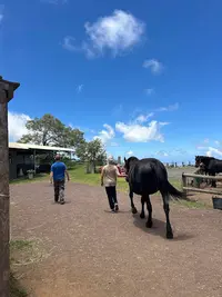 Centre Equestre Alti Merens, Scea les Platanes
