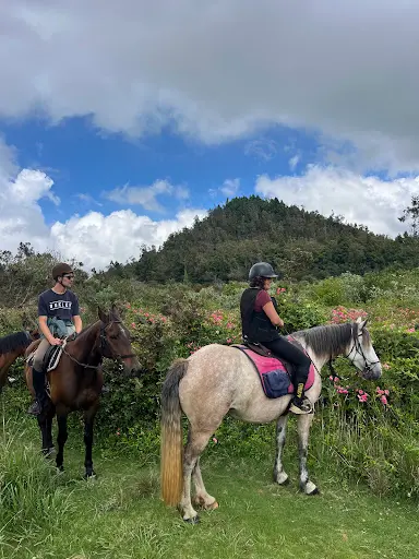 Ranch Ti Metiss