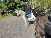 Cheval Nature | Balade À Cheval