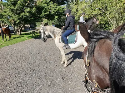 Cheval Nature | Balade À Cheval