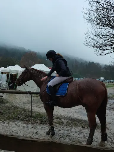 Aix Meyreuil Sports Equestres