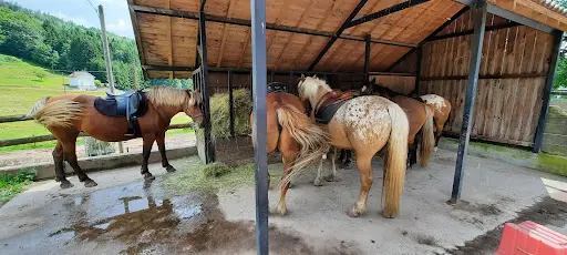 Equi Val - Maroquinerie / Balades et Randonnées À Cheval