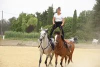 Les Écuries en Vol