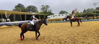 Étrier du Roumois