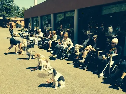 Centre Canin, le Tignet