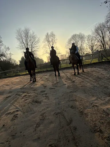 Écurie Horse & Family