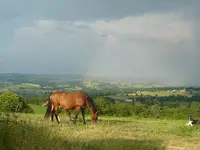 Élevage de la Domerguie