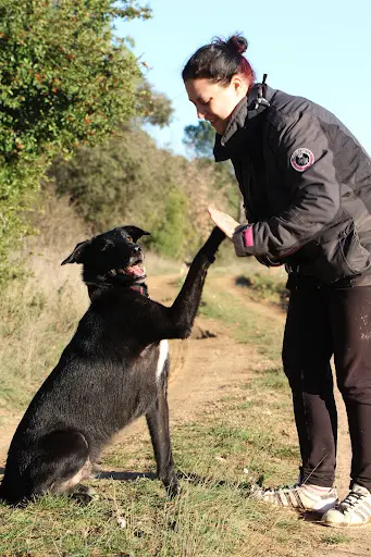 La Main À la Patte 83 - Éducateur Canin - Professeure de Doga -