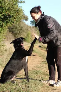 La Main À la Patte 83 - Éducateur Canin - Professeure de Doga -