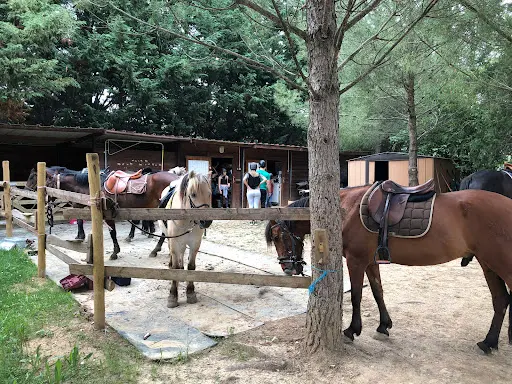 Les Ecuries du Mas Di Gau