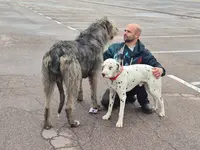 Educateur Canin-loic Cornu Vosges