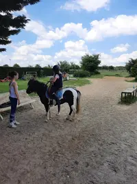 Hopps Family Stables - les Ecuries du Marais