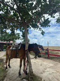 Centre Equestre Macabou