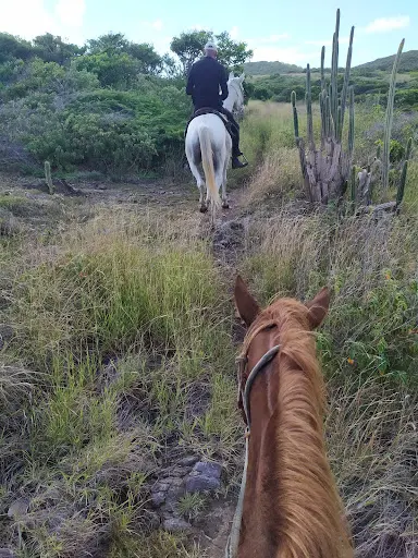 Ranch Anse Macabou