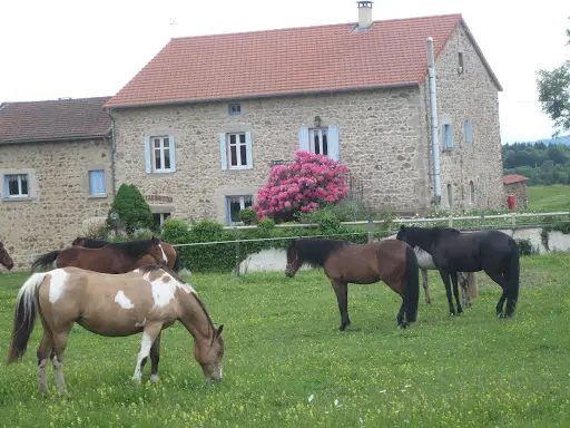 Thiodat André