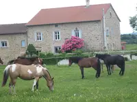 Thiodat André