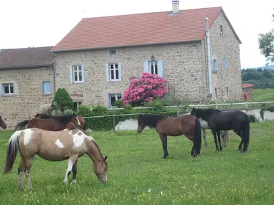 Thiodat André