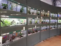 Jardiland