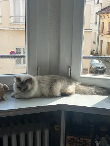Chatterie le Manoir d'Annakabel