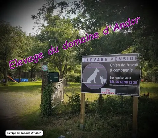Domaine d'Andor - Élevage & Pension Canine