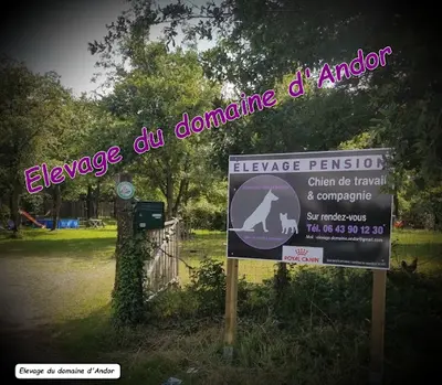 Domaine d'Andor - Élevage & Pension Canine
