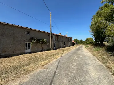 Elevage les Norvégiens de Mewdie Katt 