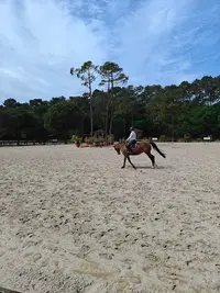 Centre Hippique Lege-cap-ferret