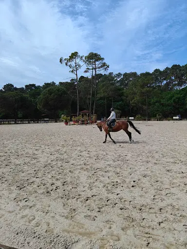 Centre Hippique Lege-cap-ferret
