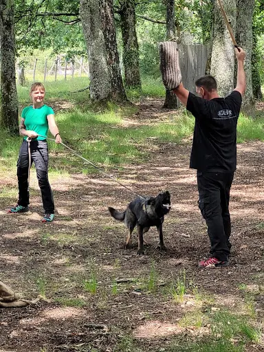 Hddog Center - Delfyne Educateur Comportementaliste Canin